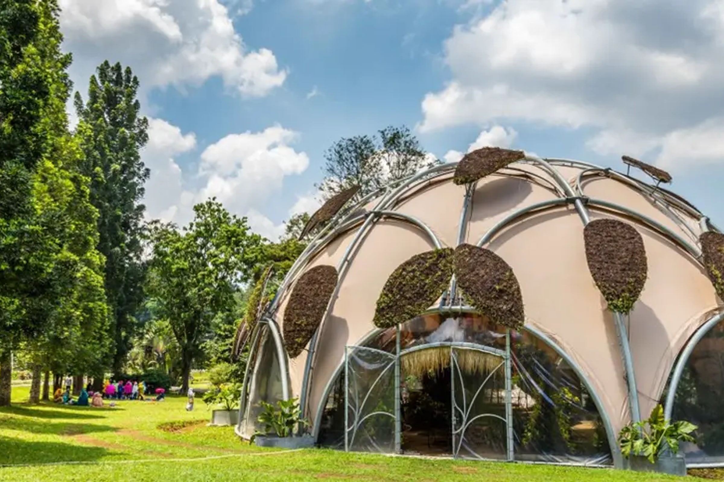 Full Day Bogor Botanical Garden And Puncak Highland Tour